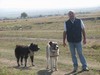 Io con due cani da pastore transilvani con il tradizionale collare con pendaglio